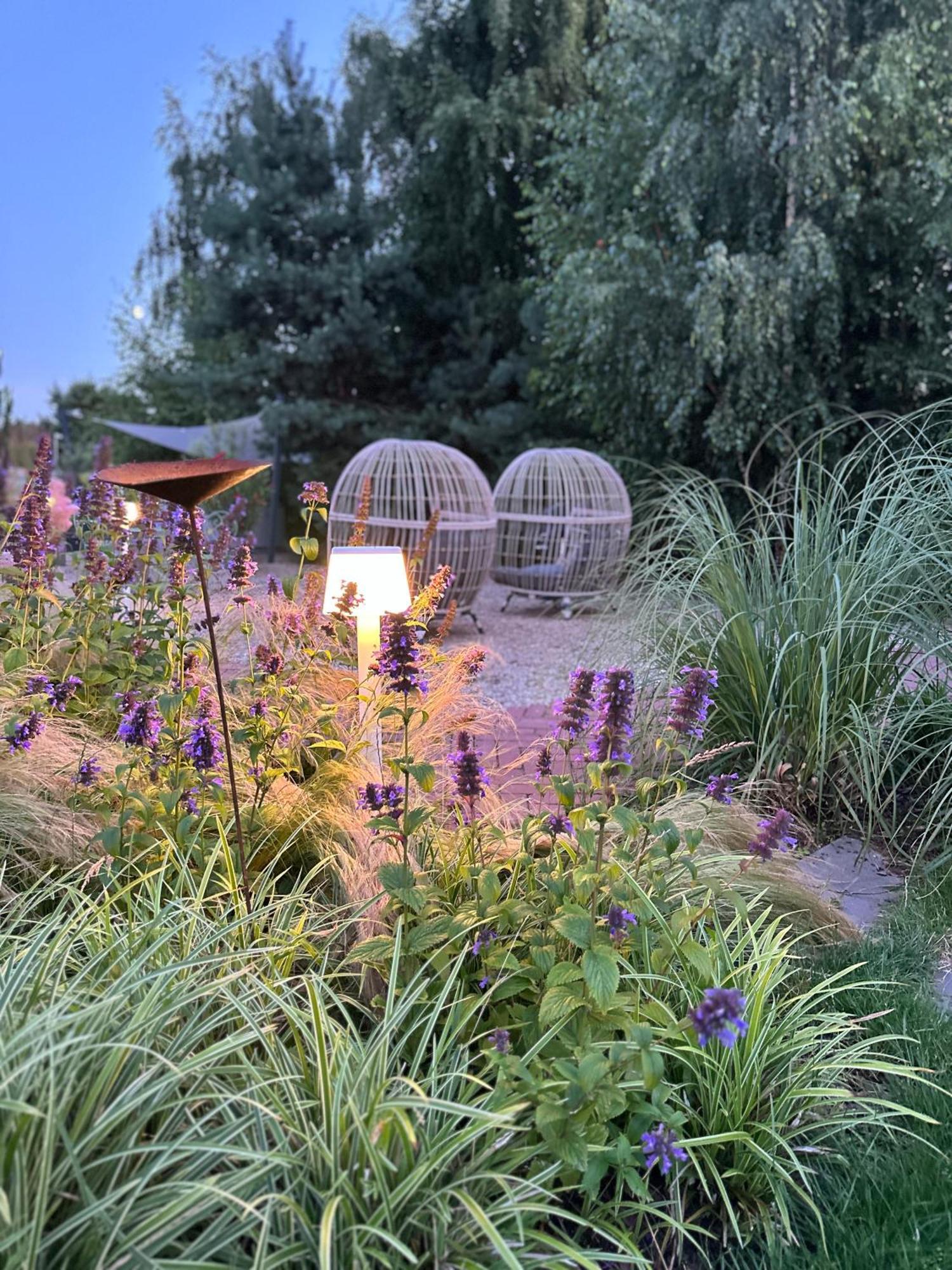 Будинок відпочинку Botanica