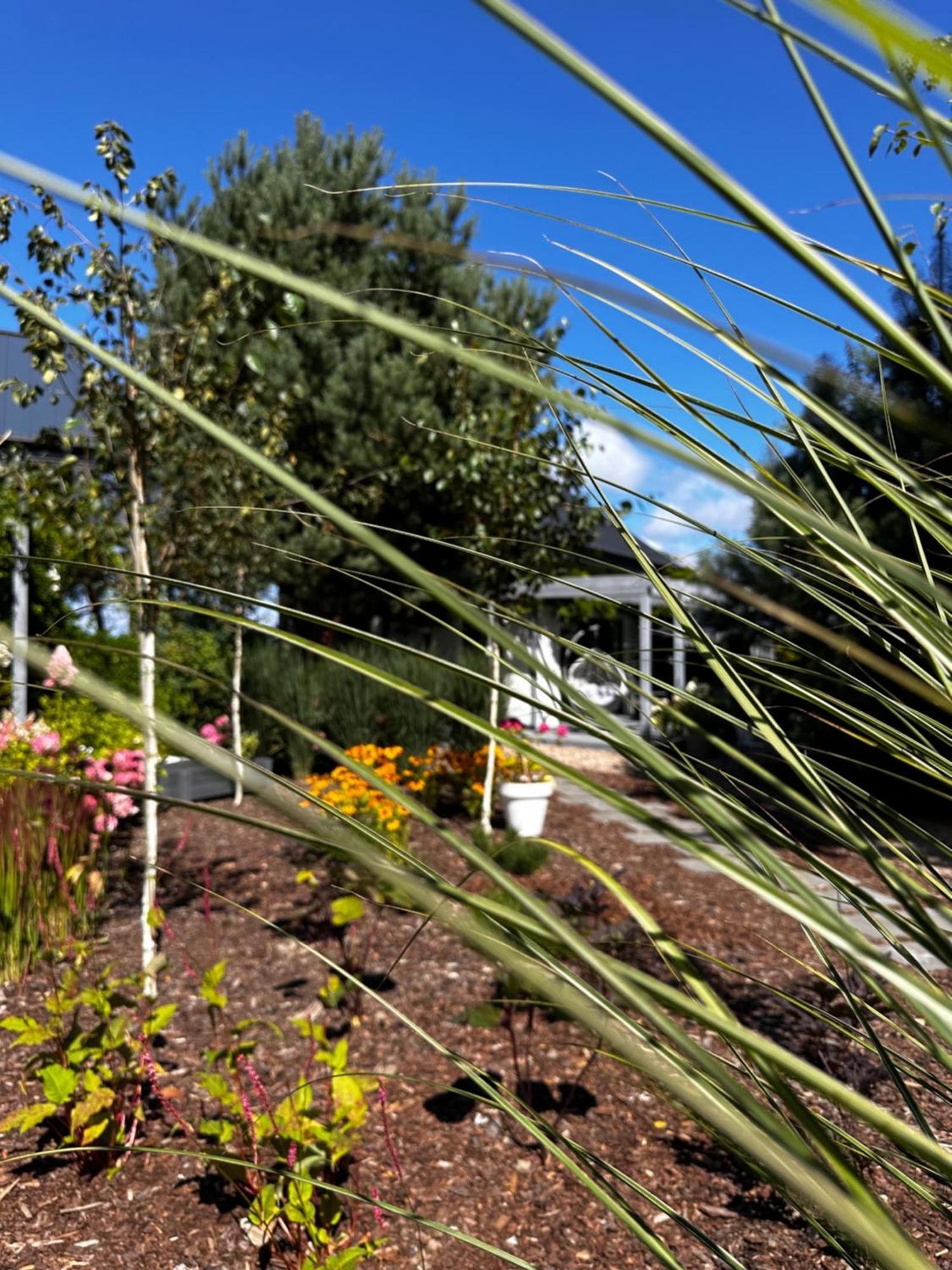 Botanica Будинок відпочинку