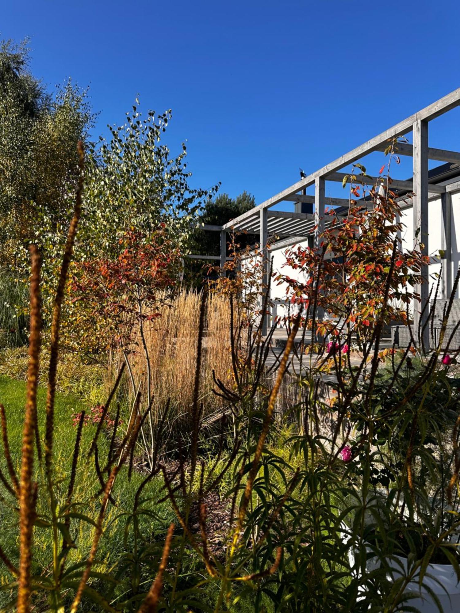 Botanica * Odargowo